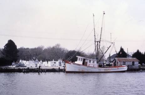 Shrimp Trawler Rigged with Wing Nets