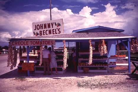 Roadside vegetable stand in St. Bernard Parish. 