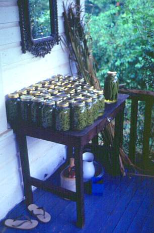 Canned string beans at Richard Bryant's home in Pearidge, Lincoln Parish.