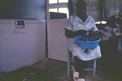 Mary Gunn of Ruston shells purple hull peas on her back porch, a common summer occupation. Peas, usually served with cornbread, are a staple protein of the North Louisiana diet. Although in the past peas were preserved by canning, today they are usually preserved by freezing. The hulls can be used to make purple hull pea jelly or as livestock food. Many varieties of peas are still traditionally grown and prepared in the region, including black-eyed, purple hulls, goose, pink-eyed, cream, little lady, and a multitude of hybrid peas. 